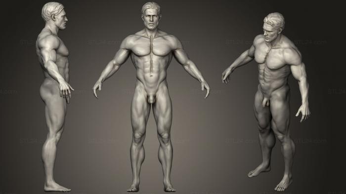 Анатомия скелеты и черепа (Скульптура мужского тела 3, ANTM_0772) 3D модель для ЧПУ станка